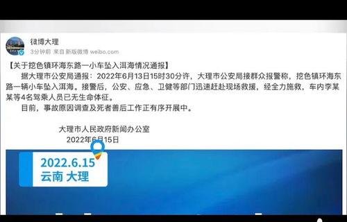 大理爆料最新消息视频,视频揭秘事件真相，详情令人震惊